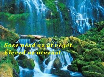 vizesesek006.jpg vizesesek006.jpg